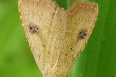 20180603_142523