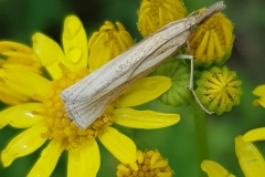 20190804_115400