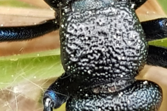 20190427_160344